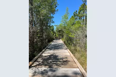 305 Flatwoods Forest Loop, Santa Rosa Beach, FL 32459 - Photo 74