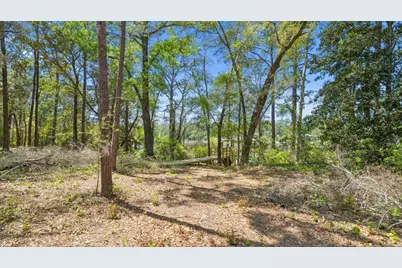 785 Old Ferry Road, Santa Rosa Beach, FL 32459 - Photo 50