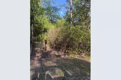 10 Acres Bob Sikes Road, Defuniak Springs, FL 32435 - Photo 4