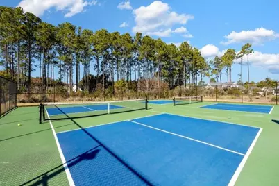 755 Breakers Street #Lot 50, Inlet Beach, FL 32461 - Photo 58
