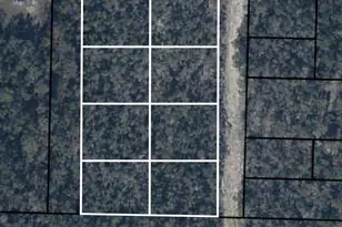 X NW Marianna Lake Ave, Fountain, FL 32438 - Photo 2