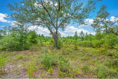 100 Acre Union Hill Road, Vernon, FL 32462 - Photo 8