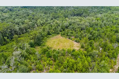 100 Acre Union Hill Road, Vernon, FL 32462 - Photo 2