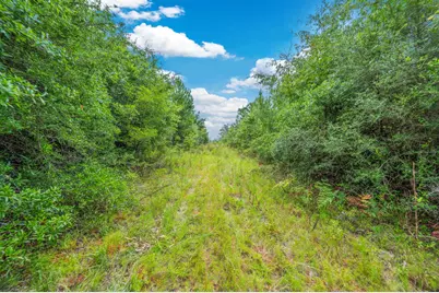 100 Acre Union Hill Road, Vernon, FL 32462 - Photo 12