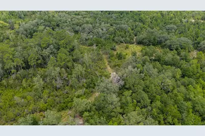 100 Acre Union Hill Road, Vernon, FL 32462 - Photo 16