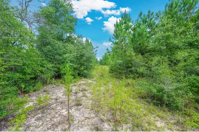 100 Acre Union Hill Road, Vernon, FL 32462 - Photo 14