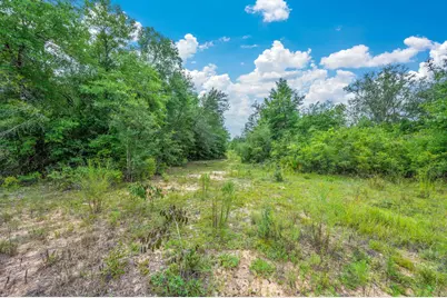 100 Acre Union Hill Road, Vernon, FL 32462 - Photo 6