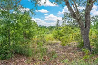 100 Acre Union Hill Road, Vernon, FL 32462 - Photo 10