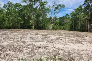 Lot 43 Pinewood Dr, Defuniak Springs, FL 32433 - Photo 1