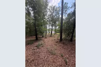 11226 N Lakeview Drive, Milton, FL 32583 - Photo 58