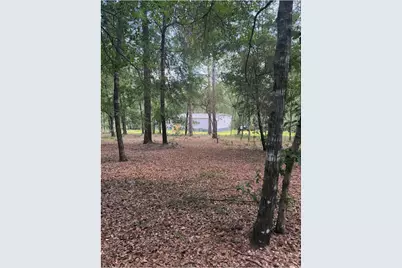 11226 N Lakeview Drive, Milton, FL 32583 - Photo 60