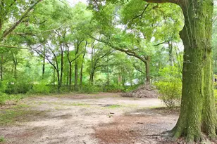 106 Thurston Pl, Crestview, FL 32536 - Photo 92