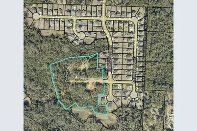 13.24 Ac Blue Bell Lane, Crestview, FL 32539 - Photo 2