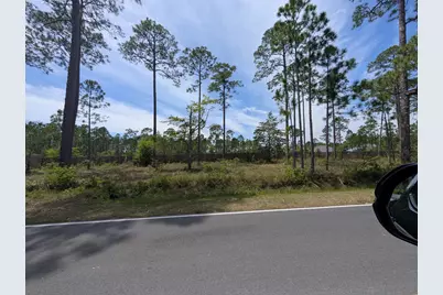 0 McDaniels Fishcamp Road, Freeport, FL 32439 - Photo 1