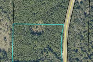 13 Acres County Hwy 393, Crestview, FL 32539 - Photo 1