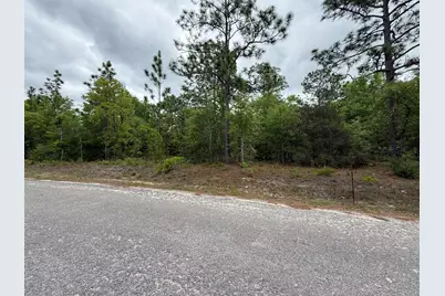 Lot 44B W Renoir Road, Defuniak Springs, FL 32433 - Photo 26
