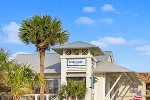 179 S County Hwy 393, Santa Rosa Beach, FL 32459 - Photo 30