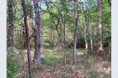 Lot 17 N 9th Lane, Milton, FL 32583 - Photo 10