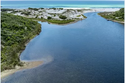 268 Loblolly Bay Drive, Santa Rosa Beach, FL 32459 - Photo 66