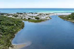 268 Loblolly Bay Dr, Santa Rosa Beach, FL 32459 - Photo 66