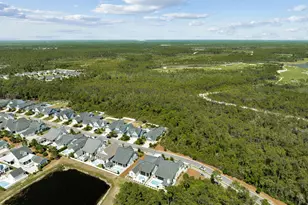 287 Log Landing St, Inlet Beach, FL 32461 - Photo 46