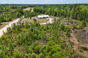 7514 Laird Rd, Florala, AL 36442 - Photo 36