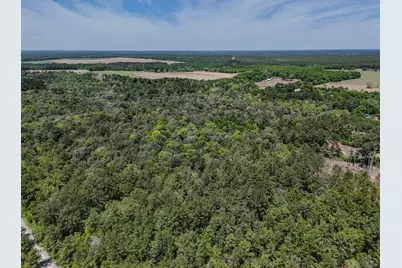 165 Acres Plantation Lane, Defuniak Springs, FL 32433 - Photo 8