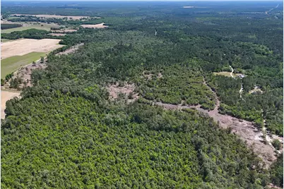 165 Acres Plantation Lane, Defuniak Springs, FL 32433 - Photo 6