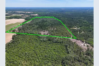 165 Acres Plantation Lane, Defuniak Springs, FL 32433 - Photo 2
