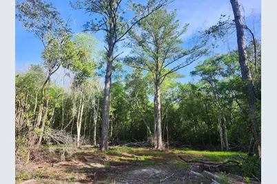 165 Acres Plantation Lane, Defuniak Springs, FL 32433 - Photo 10