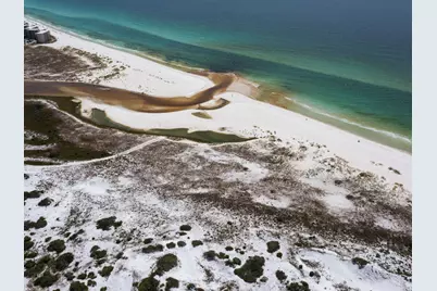 Lot 11 W Lupin Beach, Inlet Beach, FL 32461 - Photo 12