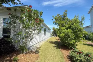 70 River Rise Wy, Inlet Beach, FL 32461 - Photo 50