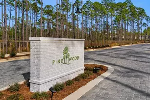 179 S County Hwy 393, Santa Rosa Beach, FL 32459 - Photo 28