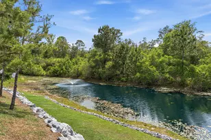 101 Hammock Oaks Blvd, Freeport, FL 32439 - Photo 48
