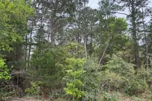 7117 Snug Waters Rd, Navarre, FL 32566 - Photo 1