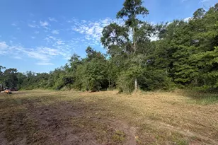 Tbd Fl-4, Baker, FL 32531 - Photo 1