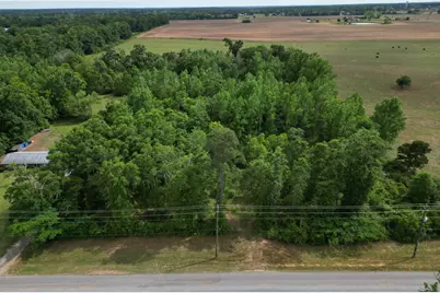 2000 Molino Road, Molino, FL 32577 - Photo 1