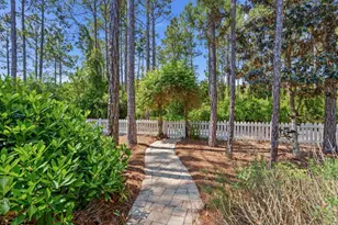 309 Jack Knife Drive, Inlet Beach, FL 32461 - Photo 46