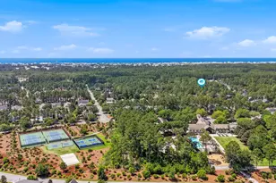 309 Jack Knife Drive, Inlet Beach, FL 32461 - Photo 68