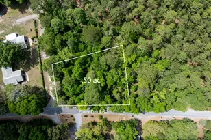 Lot X Piney Point Rd, Freeport, FL 32439 - Photo 4