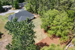 102 Jones Dr, Freeport, FL 32439 - Photo 66