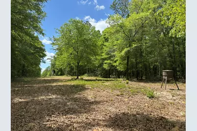 420 Gomillion Road, Florala, AL 36442 - Photo 24