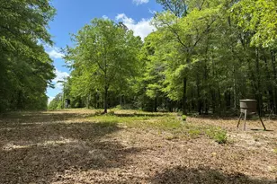 420 Gomillion Rd, Florala, AL 36442 - Photo 24