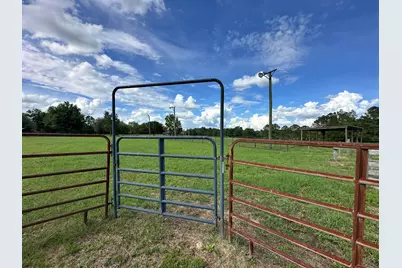 420 Gomillion Road, Florala, AL 36442 - Photo 6