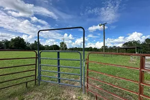 420 Gomillion Rd, Florala, AL 36442 - Photo 6