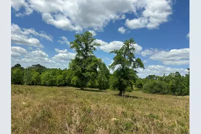 420 Gomillion Road, Florala, AL 36442 - Photo 26