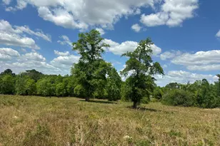 420 Gomillion Rd, Florala, AL 36442 - Photo 26