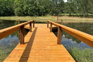 420 Gomillion Rd, Florala, AL 36442 - Photo 4