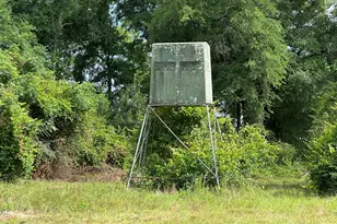 420 Gomillion Rd, Florala, AL 36442 - Photo 14