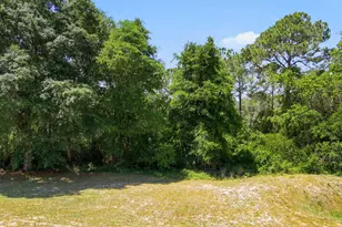 466 Jillian Dr, Crestview, FL 32536 - Photo 36
